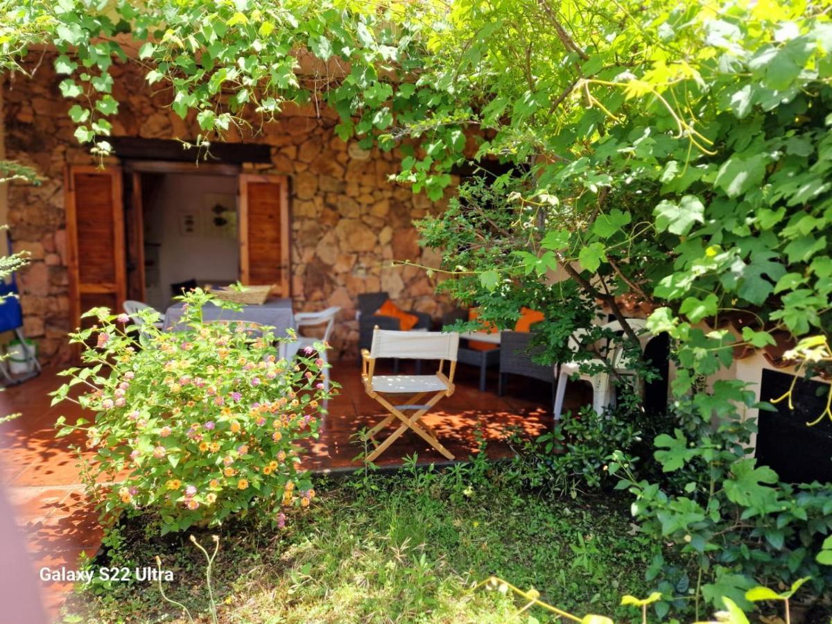 San Teodoro Appartamento Vacanze Centro Exterior foto